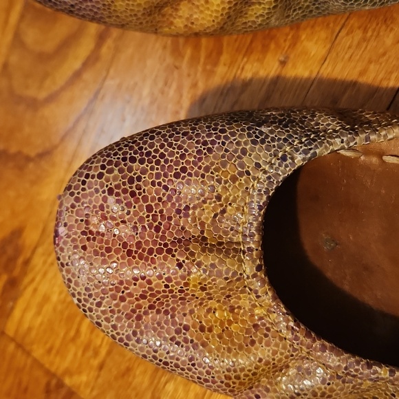 Toscani - Picture 9 of 13